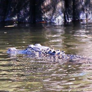 Meet your Posher, Carolyn